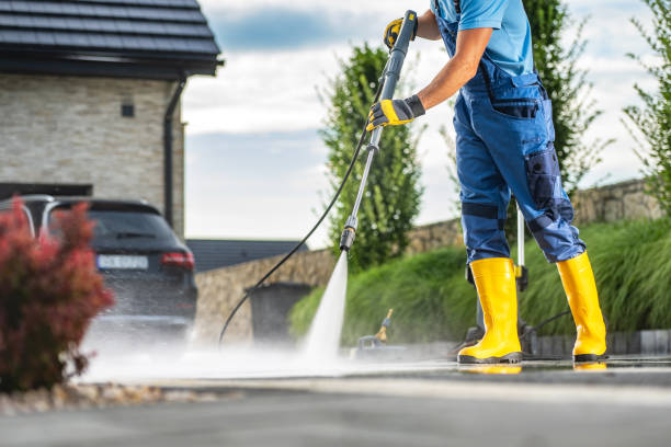 Best Sidewalk and Walkway Cleaning  in Chleston, AR
